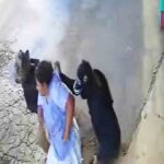 secuestran a una mujer en el trópico