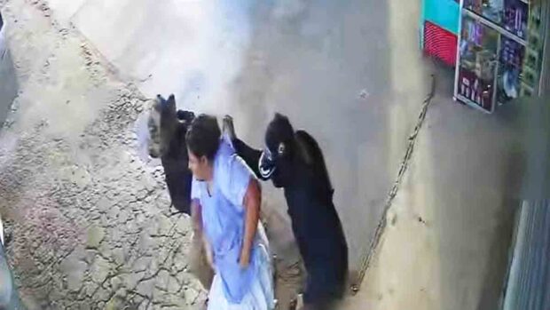 secuestran a una mujer en el trópico