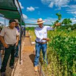 producción de soya en Cuatro Cañadas