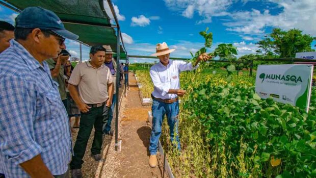 producción de soya en Cuatro Cañadas