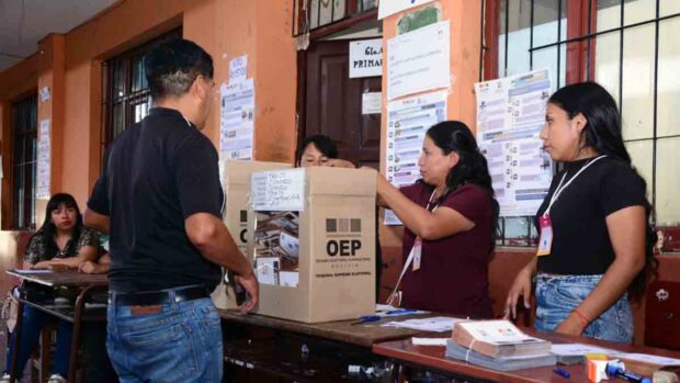 elecciones subnacionales