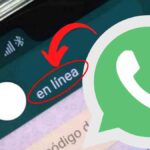 línea WhatsApp