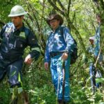 inspección al proyecto Domo Oso X3