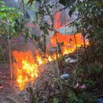 destrucción de fábrica de cocaína