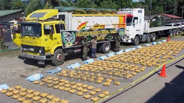 los paquetes de marihuana incautada