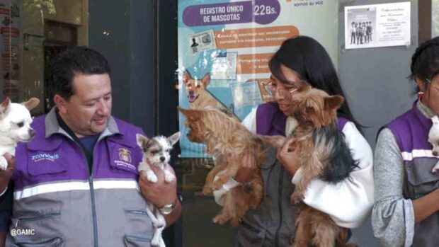zoonosis rescata perros