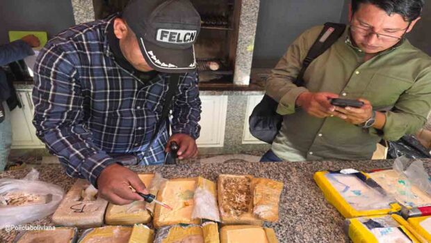 Policías aprehendidos por portar droga
