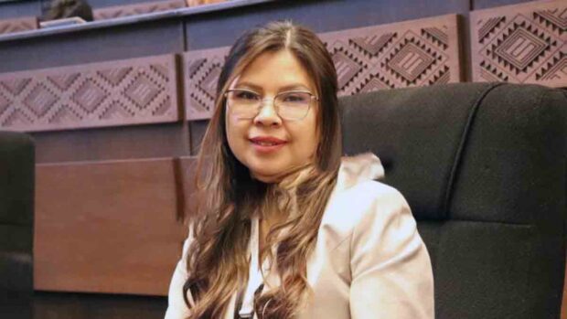 diputada Diana Romero
