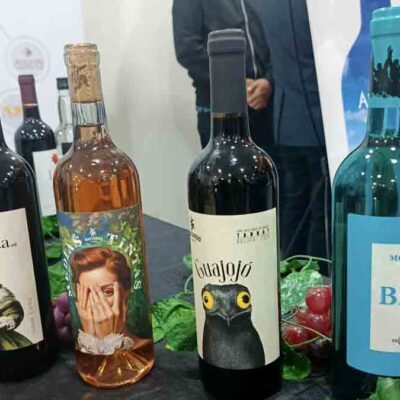 Vinos Bolivia