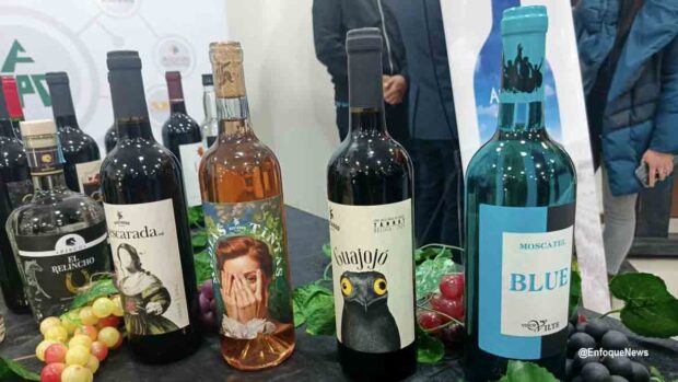 Vinos Bolivia