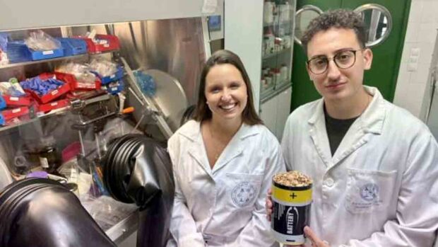 Crean batería en base a pistacho