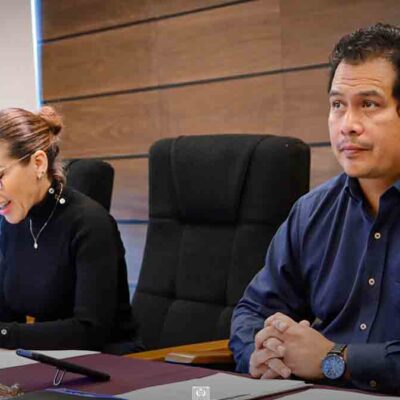 diputados sesión de forma virtual