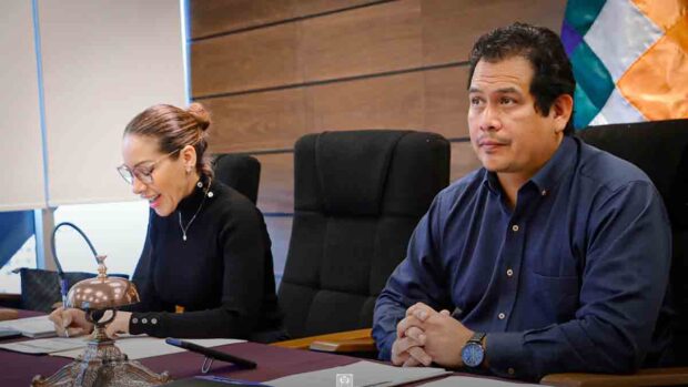 diputados sesión de forma virtual