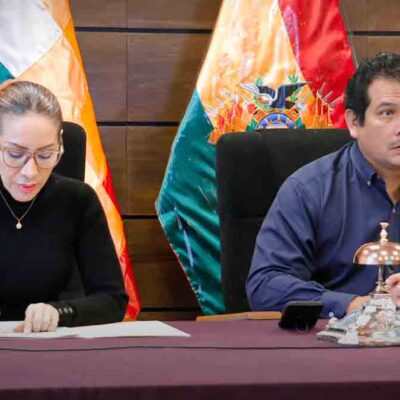 el presidente de la Cámara de Diputados en sesión virtual
