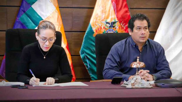 el presidente de la Cámara de Diputados en sesión virtual