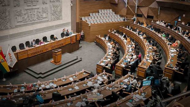el pleno de la Cámara de Diputados