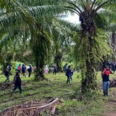 masacre en Honduras