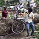 un árbol caído por las tormentas eléctricas en India
