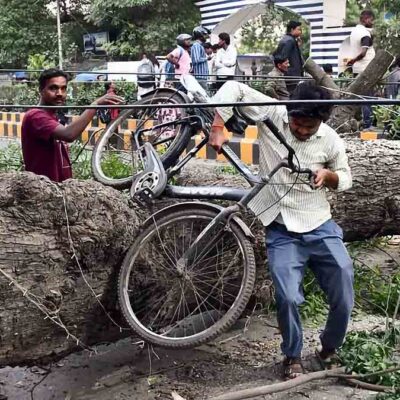un árbol caído por las tormentas eléctricas en India