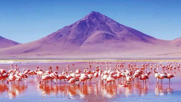 Turismo en Potosí