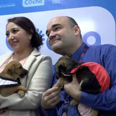segunda campaña de adopción de perros en Cochabamba