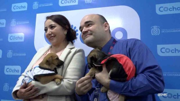 segunda campaña de adopción de perros en Cochabamba