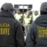 agentes de Diprove