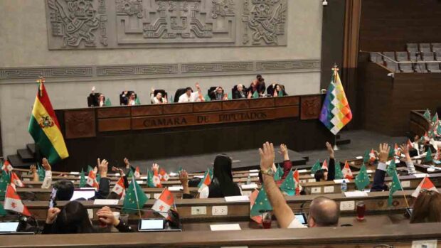 diputados tratará proyecto de desarme
