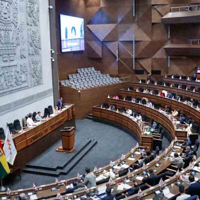 el pleno de la Cámara de Diputados