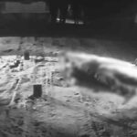 hallan muerto a dirigente que fue secuestrado