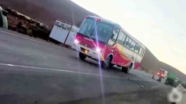 bus traslada a evistas a La Paz