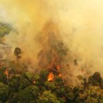 Incendios en la Amazonía incrementa