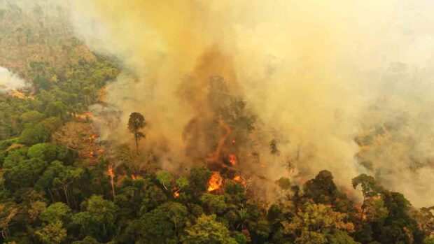 Incendios en la Amazonía incrementa