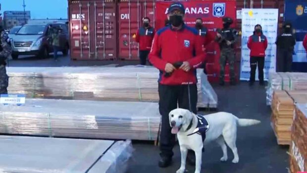 hallan madera impregnada con droga en Chile