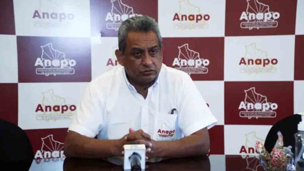 anapo alerta de pérdidas millonarias