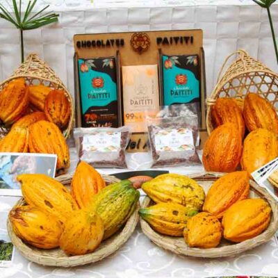 cacao boliviano
