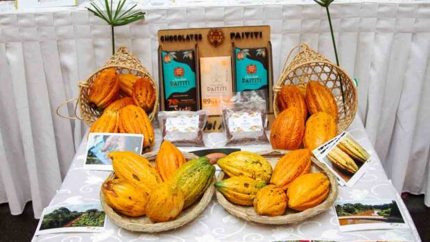 cacao boliviano