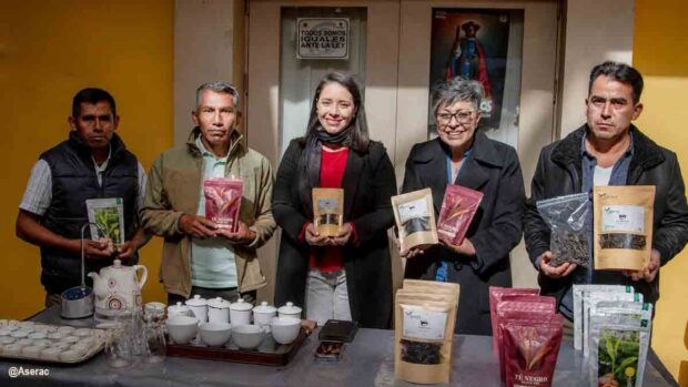 Bolivia gama premio de Té Sudamericano