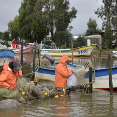temporal en Chile
