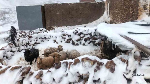 nevada en Bolivia
