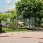 balean a hombre en la Mutualista