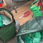 boliviana detenida en Chile por vender coca