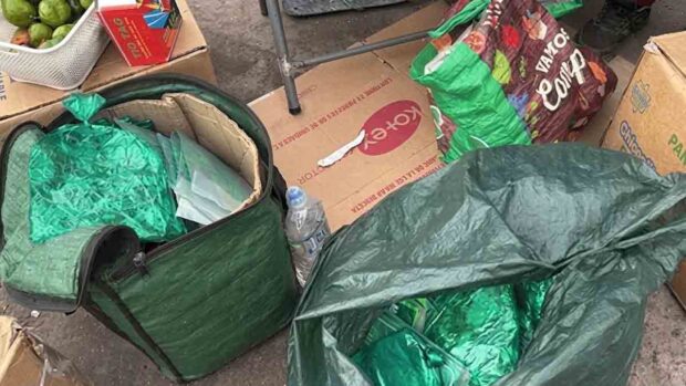 boliviana detenida en Chile por vender coca