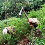 inicia erradicación de cultivos de coca