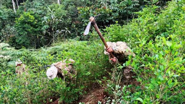 inicia erradicación de cultivos de coca