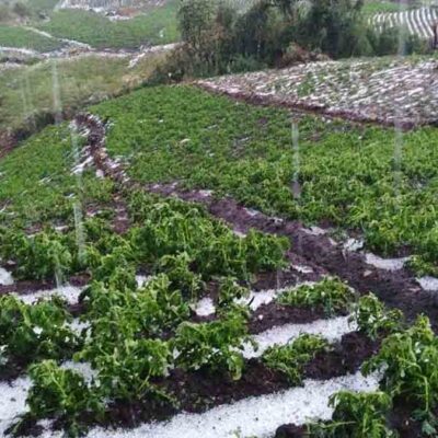 granizada en Corani B