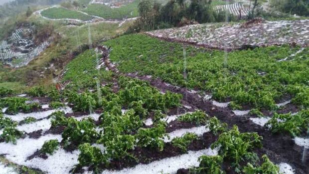 granizada en Corani B