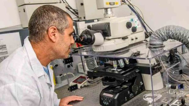 primer implante médula espinal