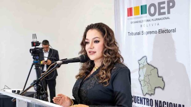 vicepresidenta TSE