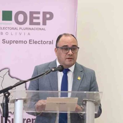 taller OEP de reforma electoral